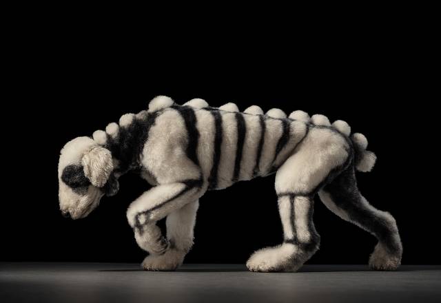 Apologia X Deprerreo: La Perruqueria | L'Miranda + Candadismo + bichigyalli