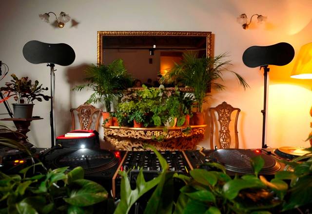 Apologia ON AIR X Alocasia TV: Friascut + Guille Pinet + Misla