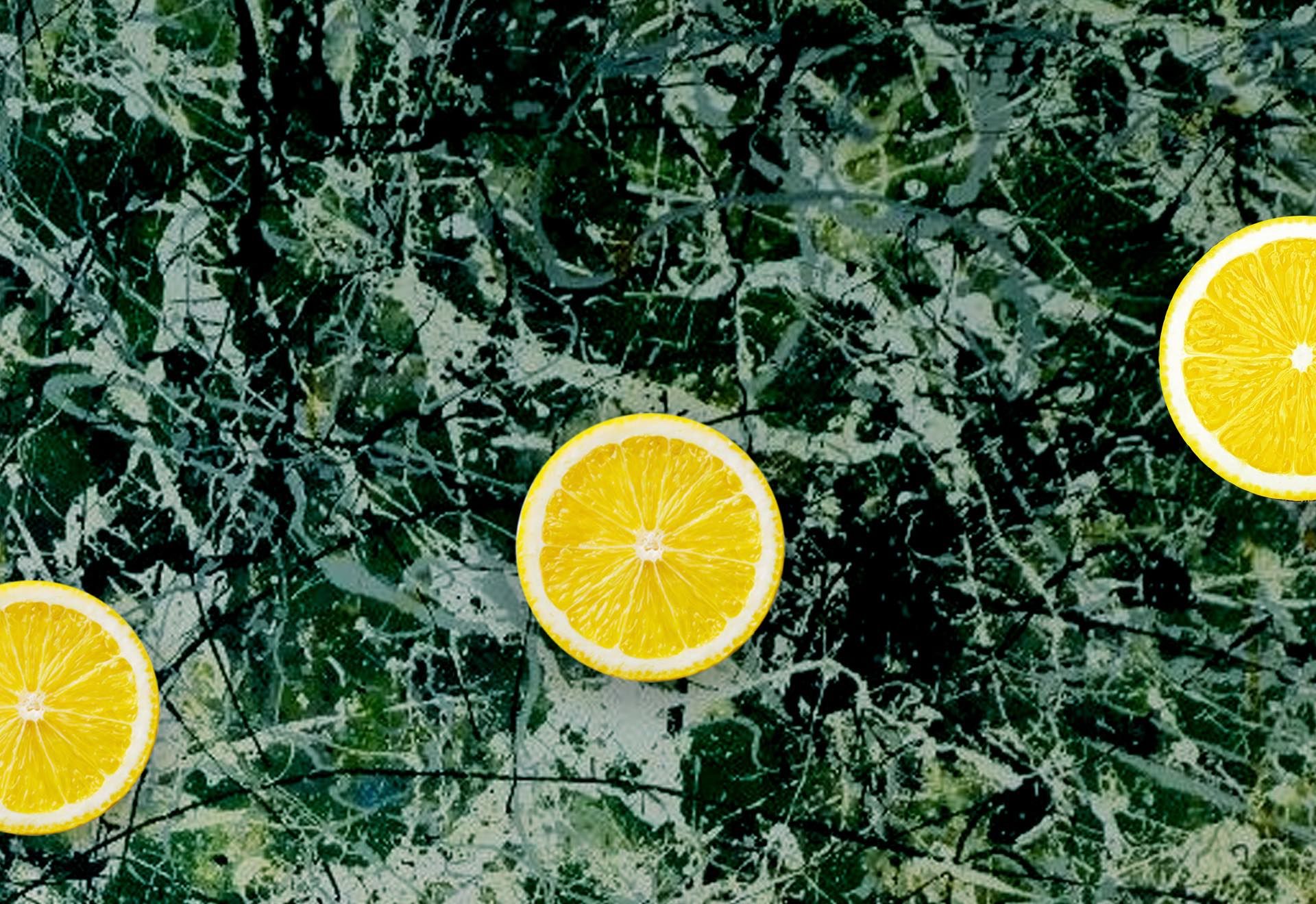The Complete Stone Roses