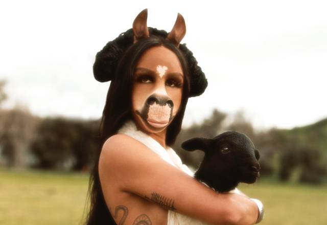 Astin: horsegiirL